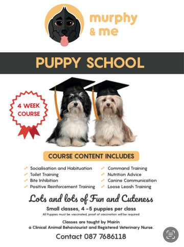 Puppy School Course