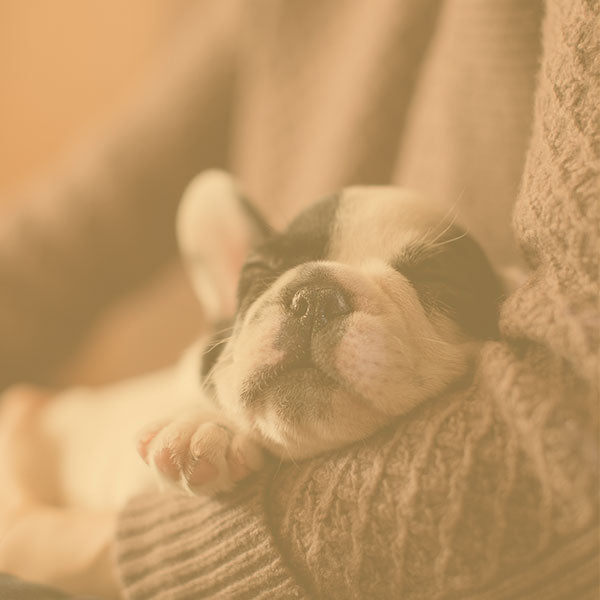 Behavioural Consultation