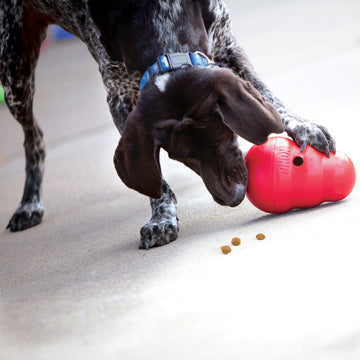 Kong Wobbler interactive dog toy